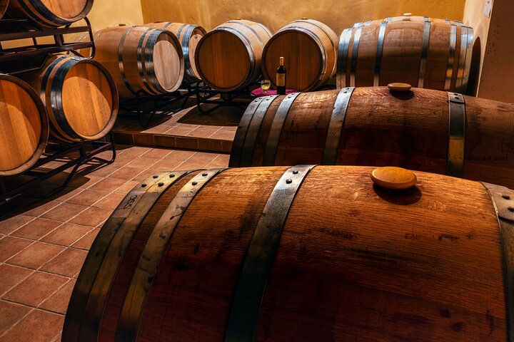 From Villa de Leyva Vineyard Tour