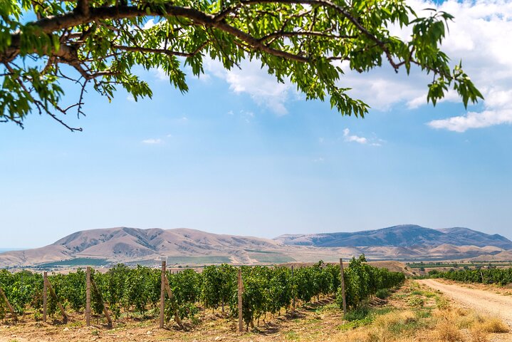 From Villa de Leyva Vineyard Tour