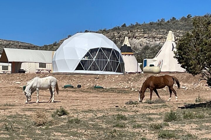 Glamping at Grand Canyon Glamping Resort