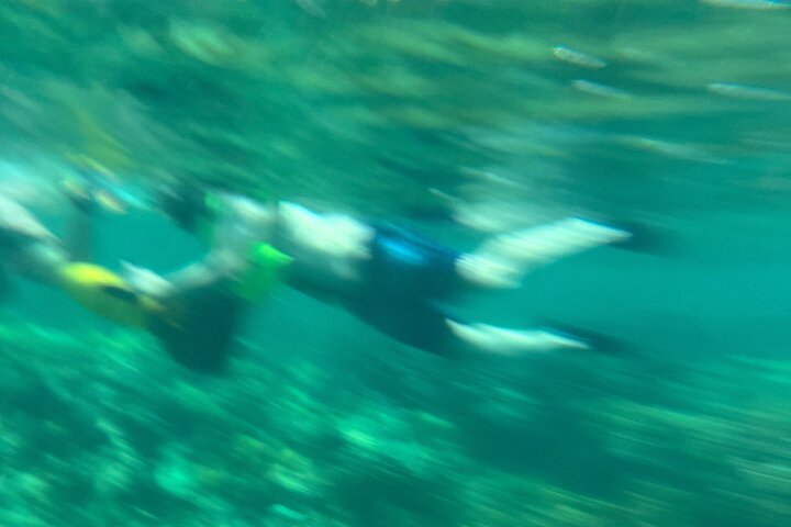 Bahamas Sea Scooter Snorkeling Adventure