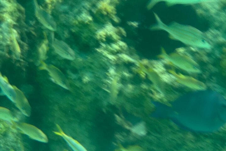 Bahamas Sea Scooter Snorkeling Adventure
