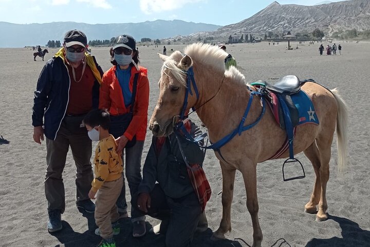 Mount Bromo & Ijen & Madakaripura Waterfall Tour (3D2N) - Hotel