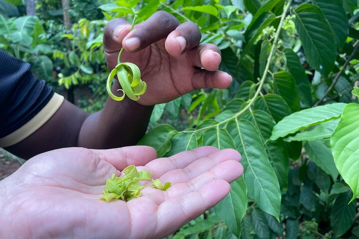 Full Day Private Spice Farm Stone Town and Prison Island