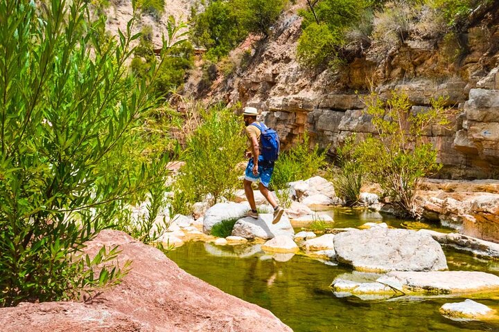 Paradise Valley tour Agadir with guide & argan oil breakfast