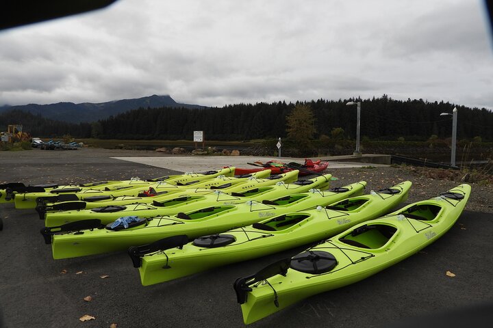 Kayak Tours