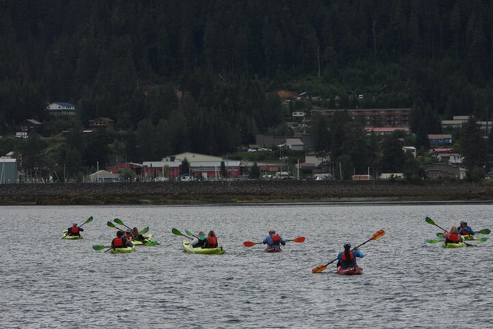 Kayak Tours