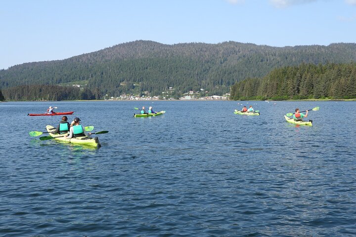 Kayak Tours