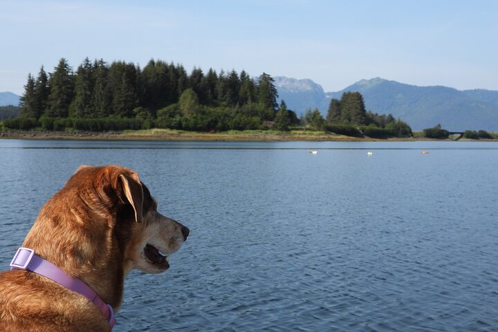 Kayak Tours
