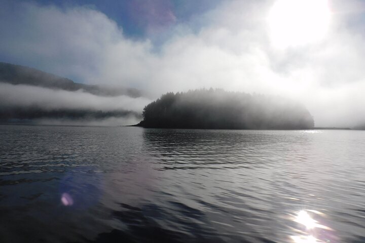 Kayak Tours