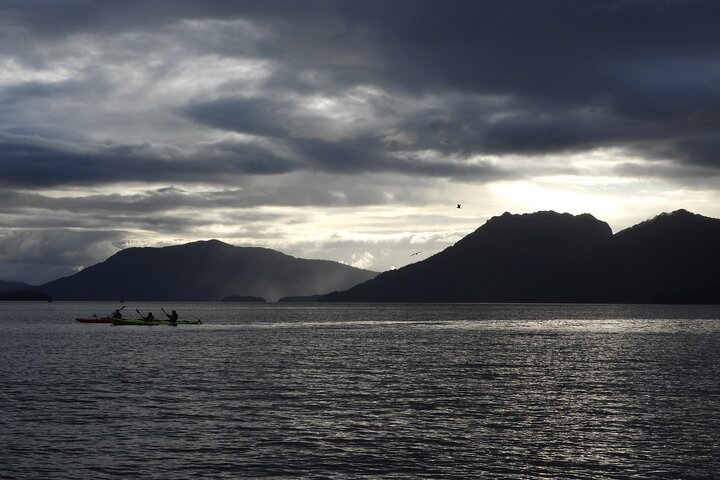 Kayak Tours