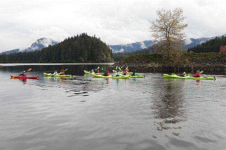 Kayak Tours