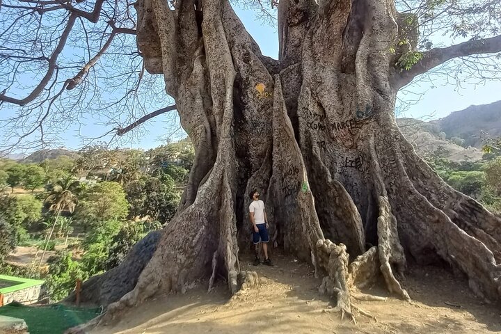 Santiago Island Experience - Culture, Nature & Tarrafal Beach
