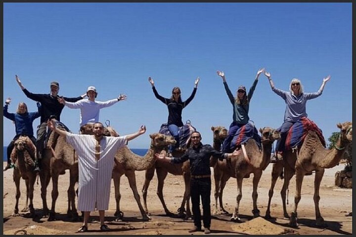 Luxury Private Tour of Tangier from Marbella All Inclusive