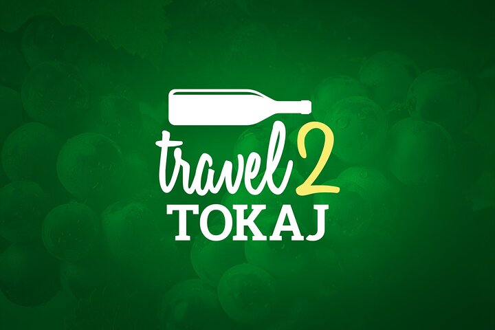 Tokaj Sky Bridge with Wine Experience