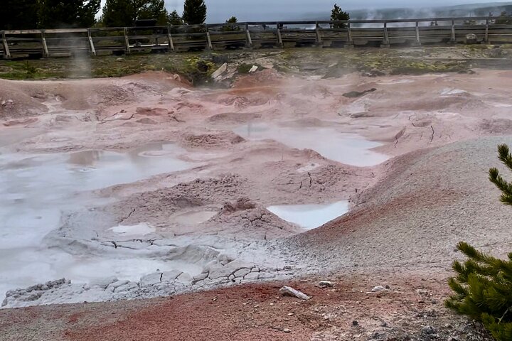 250th Celebration Yellowstone Open Air Tour W/Deals,lunch & Gifts