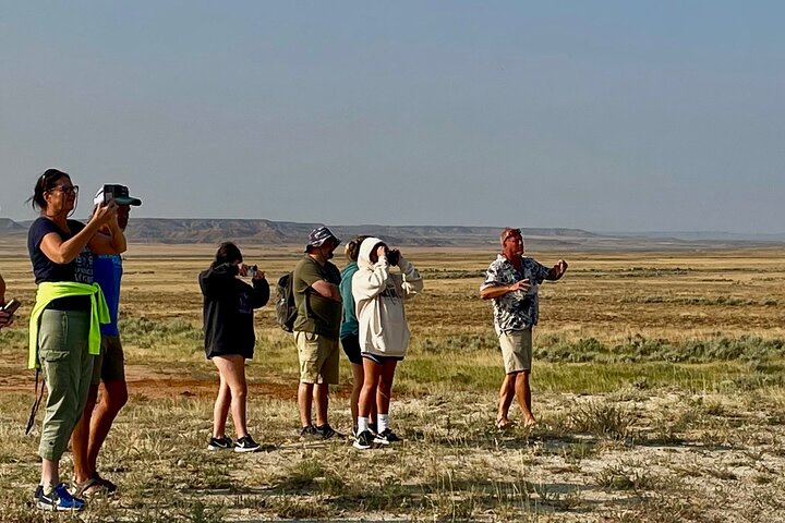Red Canyon Wild Mustang Tours And Safaris In Cody Wyoming