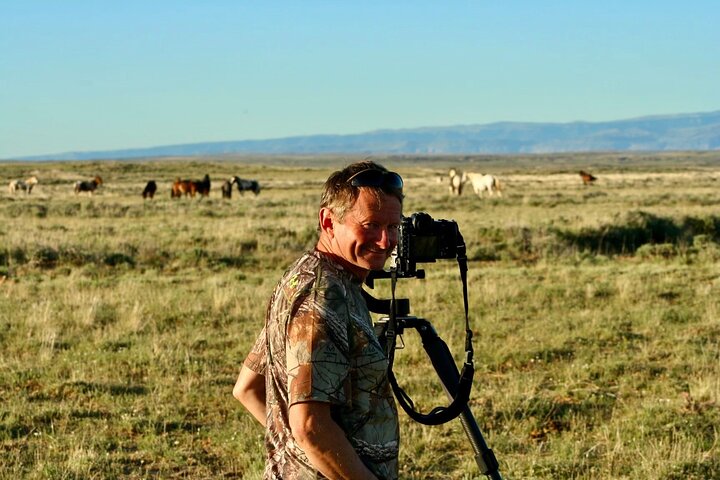 Kicking Red Canyon Wild Mustang Bus Tour Deals 5 PM In Cody