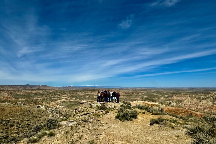 Red Canyon Wild Mustang Tours And Safaris In Cody Wyoming