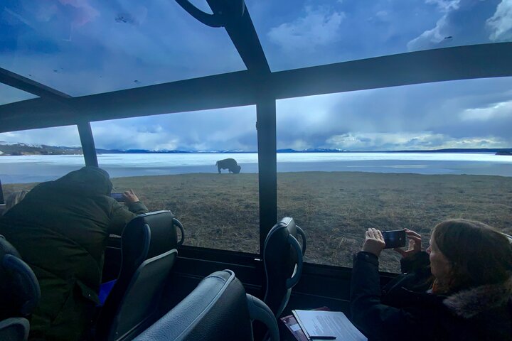 250th Celebration Yellowstone Open Air tour W/lunch and Souvenir
