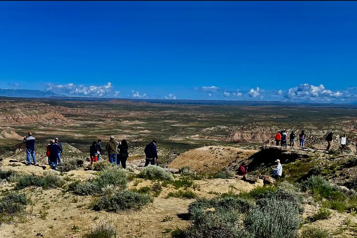 Kicking Red Canyon Wild Mustang Bus Tour Deals 5 PM In Cody