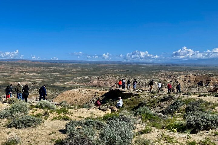 Kicking Red Canyon Wild Mustang Bus Tour Deals 5 PM In Cody