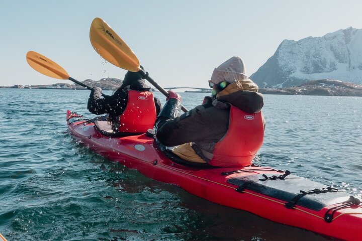 Explore Reinefjord by kayak (3 hours)