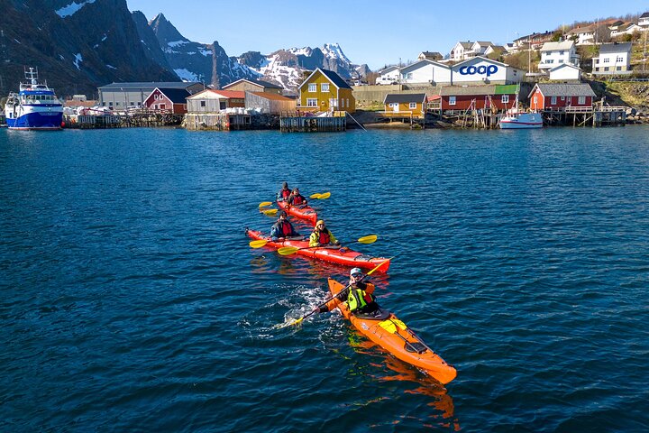 Explore Reinefjord by kayak (3 hours)