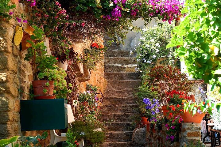 Saint-Tropez Small-Group Shared Tour