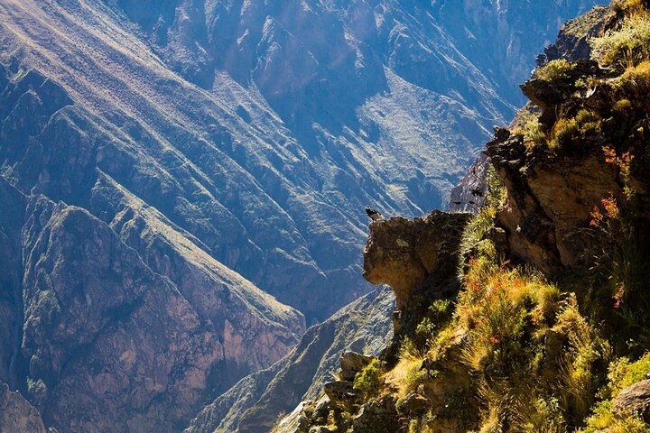 Explore the Colca Canyon From Arequipa 2 Days and 1 Night