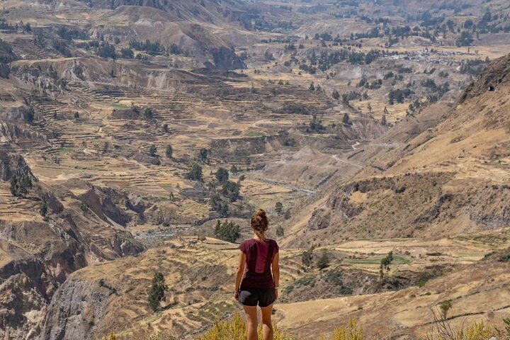 Explore the Colca Canyon From Arequipa 2 Days and 1 Night