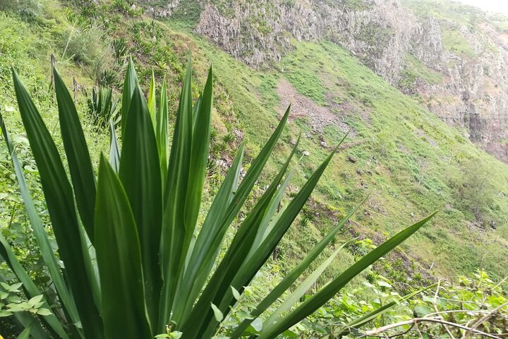 Hiking to Vale de Gongon – Sierra Malagueta Trail