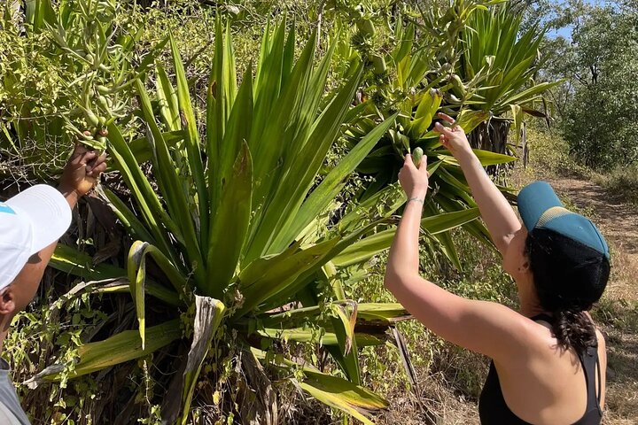 Hiking in Serra Malagueta Natural Park – Scenic Trails & Nature