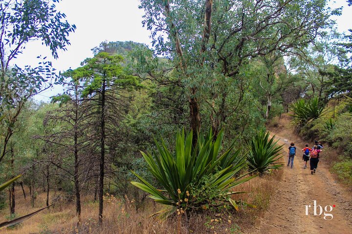 Hiking in Serra Malagueta Natural Park – Scenic Trails & Nature