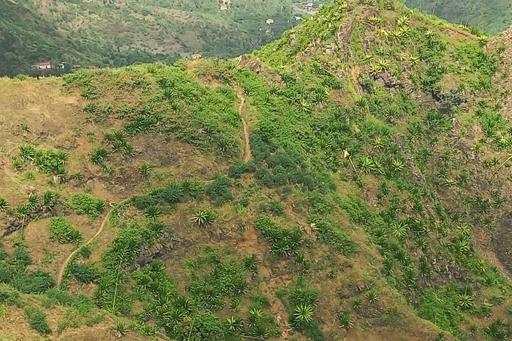 Hiking in Serra Malagueta Natural Park – Scenic Trails & Nature