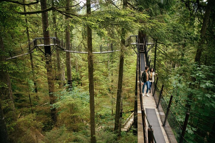 Capilano Suspension Bridge Park Ticket