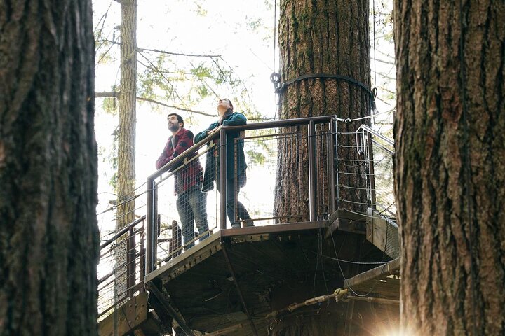 Capilano Suspension Bridge Park Ticket