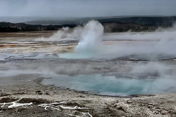 Yellowstone Hot Spots Lower Loop Tour From Cody Wy!