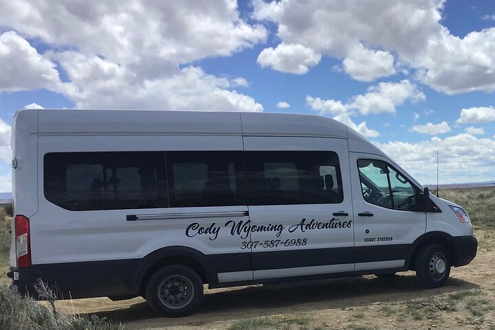 Red Canyon Wild Mustang Tours And Safaris In Cody Wyoming