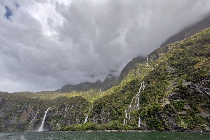 Premium Milford Sound Small Group Tour & Cruise from Queenstown