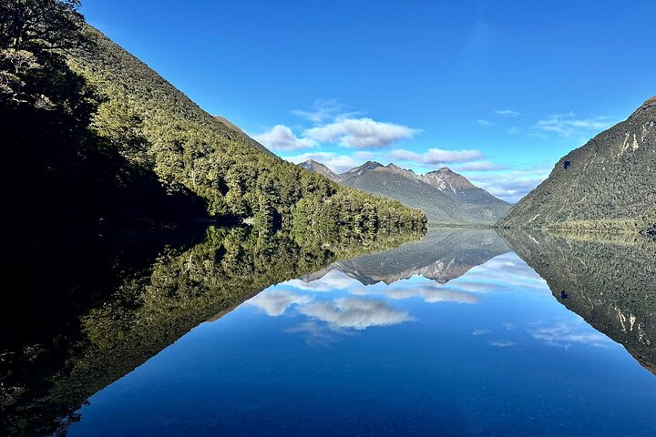 Premium Milford Sound Tour, Cruise & Lunch from Te Anau