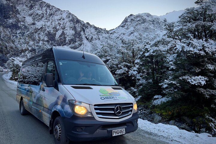 Premium Milford Sound Tour, Cruise & Lunch from Te Anau