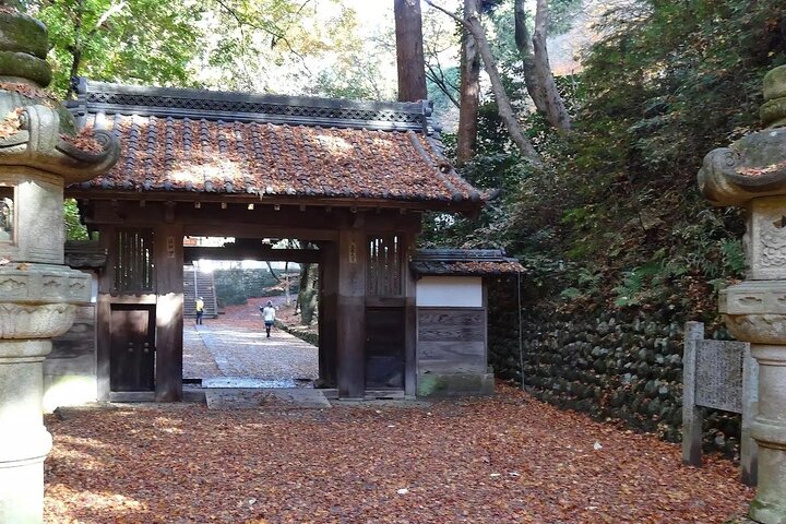 Nagoya: all-inclusive car tour to Korankei valley