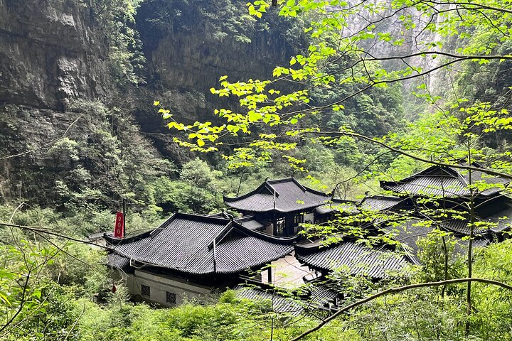 Wulong Private Tour All Inclusive: Premium Vehicle & local Lunch