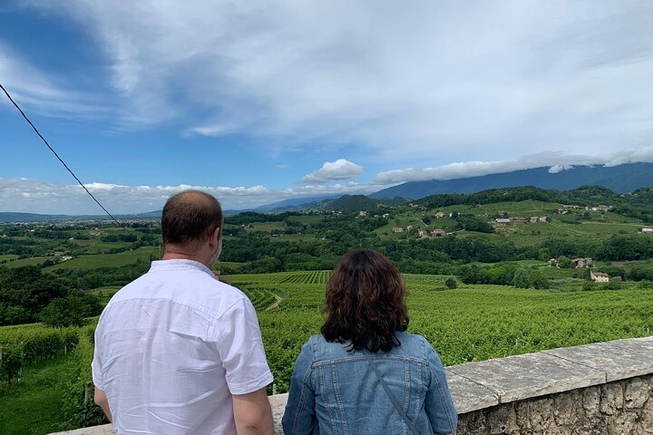 All inclusive Private Prosecco Hills Tour - 2 Wineries and Lunch.