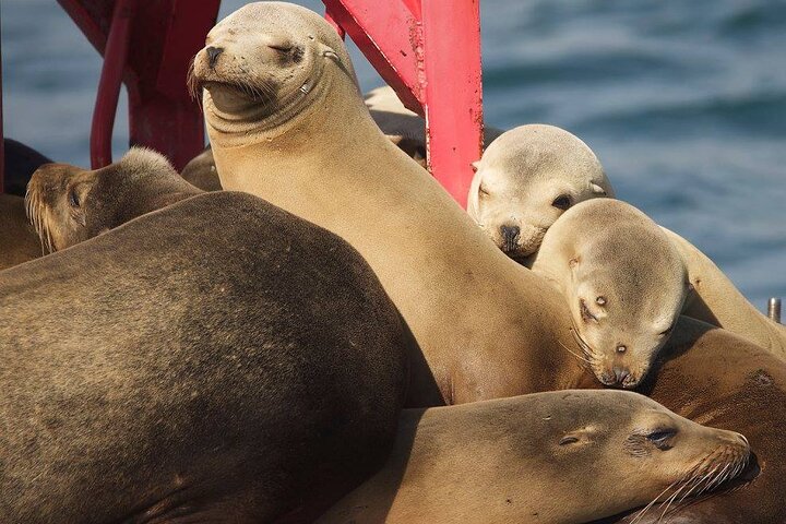 Long Beach Harbor 45-Minute Boat Tour