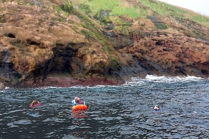 Third Island: Ilhéu das Cabras Boat Tour + Snorkeling