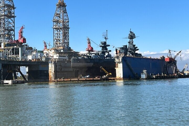 Baywatch Dolphin Tours – Pier 21 Galveston