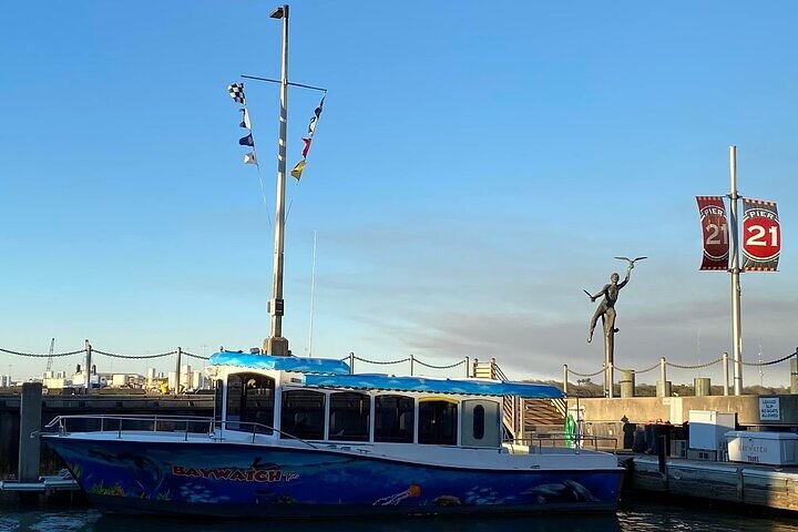 Baywatch Dolphin Tours – Pier 21 Galveston