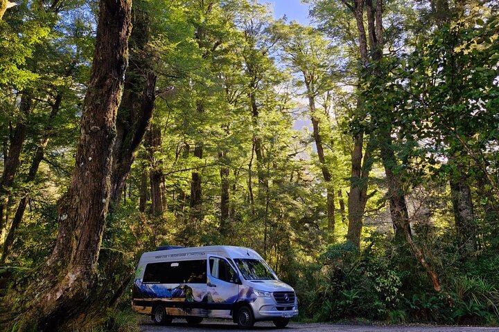 Premium Milford Sound Small Group Tour & Cruise from Queenstown