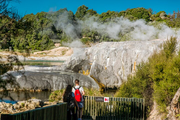Auckland: Rotorua Tour with Waiotapu, Te Puia and Maori Haka